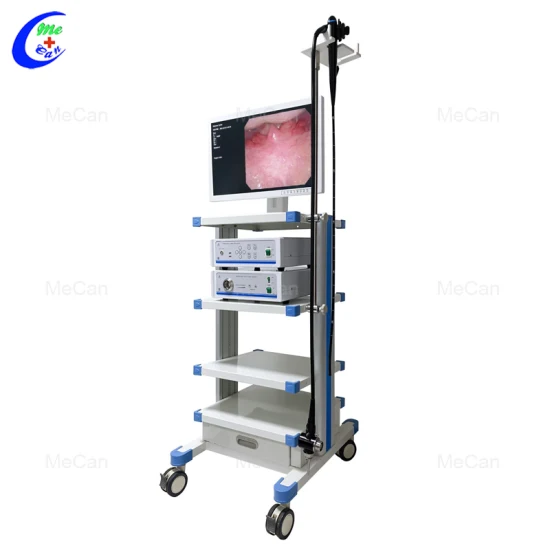 Système d'endoscope numérique, caméra endoscopique vidéo flexible